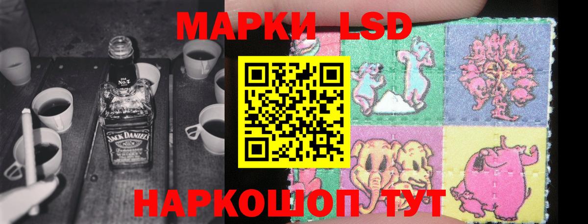 НБОМе Выборг