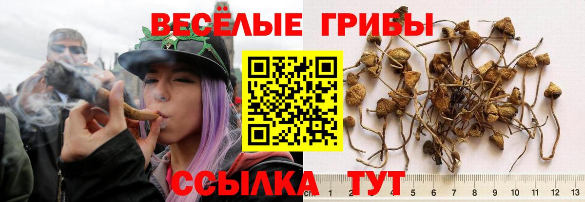 Выборг  Галлюциногенные грибы мухоморы  Вход с VPN  Псилоцибиновые грибы ЛСД 